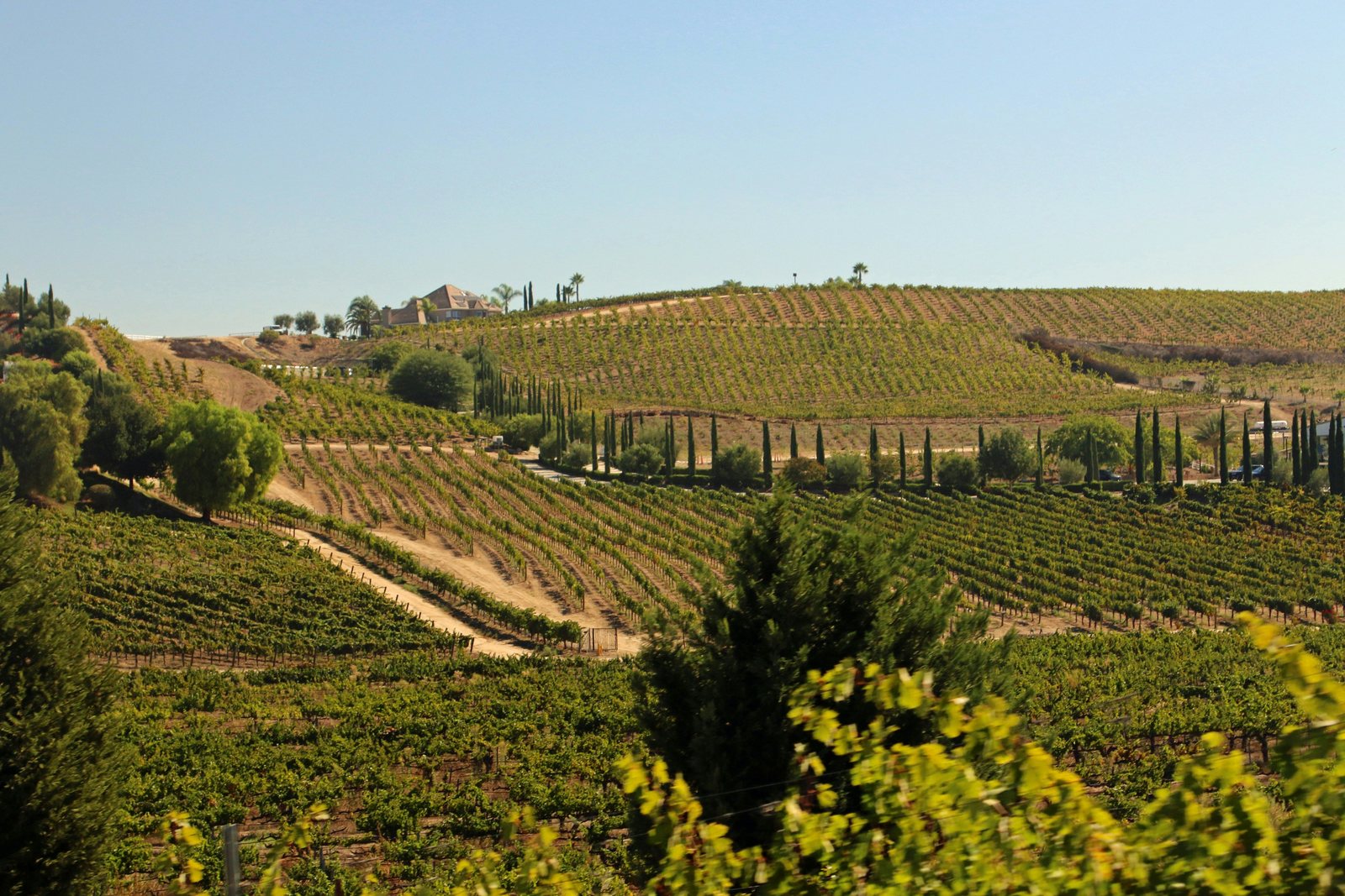 Terraced vineyards and a hilltop estate in Temecula Valley wine country