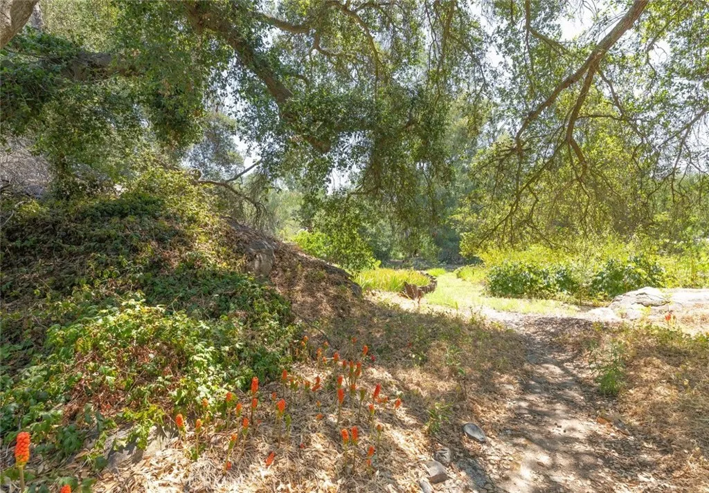 6500 Rainbow Heights Rd
